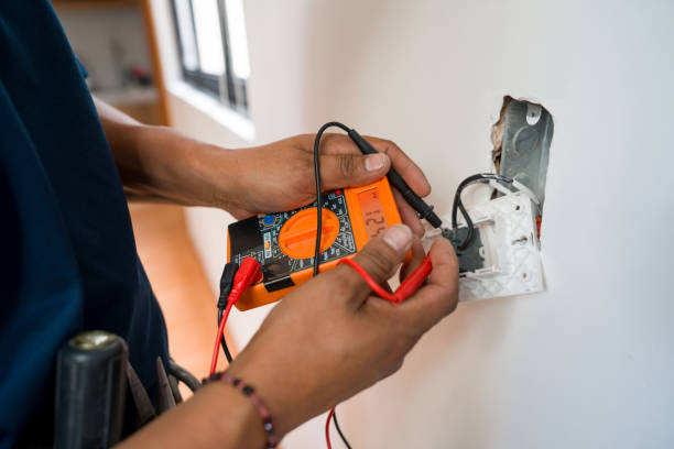 Best Electric Panel Repair  in South St Paul, MN